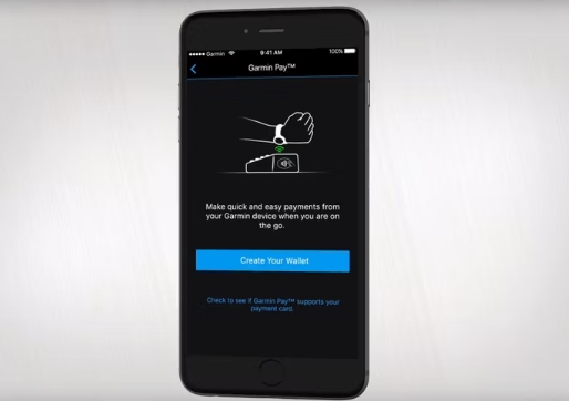 Garmin Pay